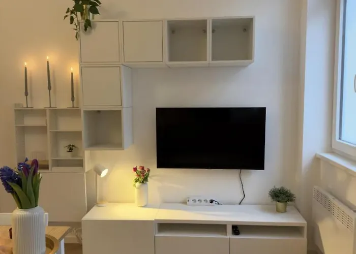 Renovated Near Center * וינה